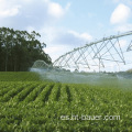 Irrigación agrícola Irrigación moderna del pivote central de la maquinaria y del equipo de la granja / irrigador que viaja